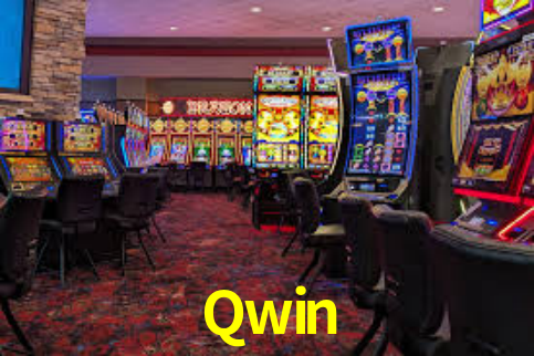 Interface Premium Qwin